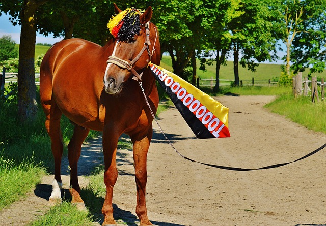 好地利用了 好地利用了