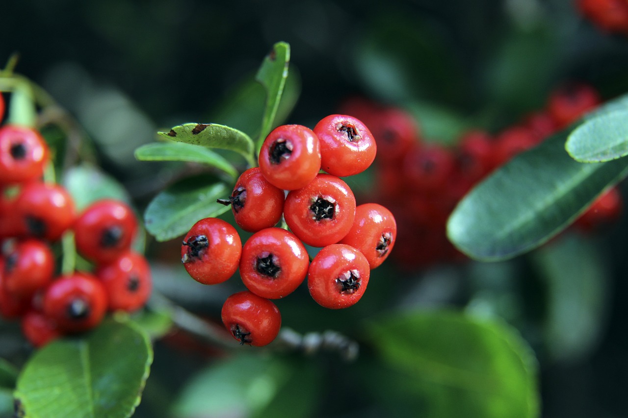 注入了新的 注入了新的