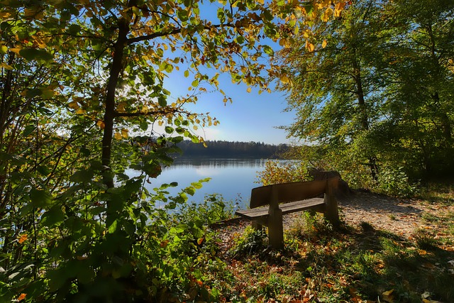 决定两队赛 决定两队赛