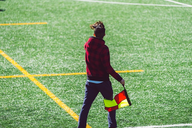 不仅是因为 不仅是因为